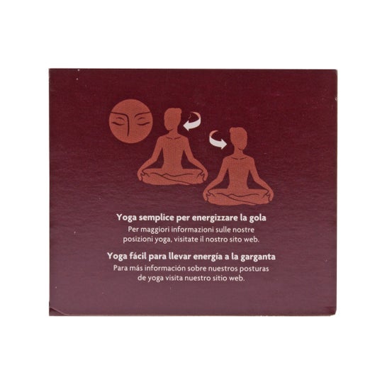 Yogi Tea Echinacea 17 bustine