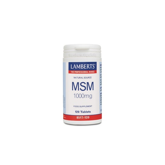 Lamberts MSM 1000mg 120 Tabletten