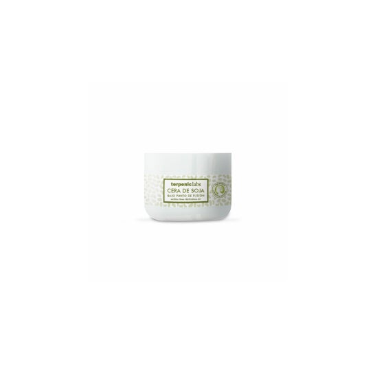 Terpenic Cera de Soja BPF 250g