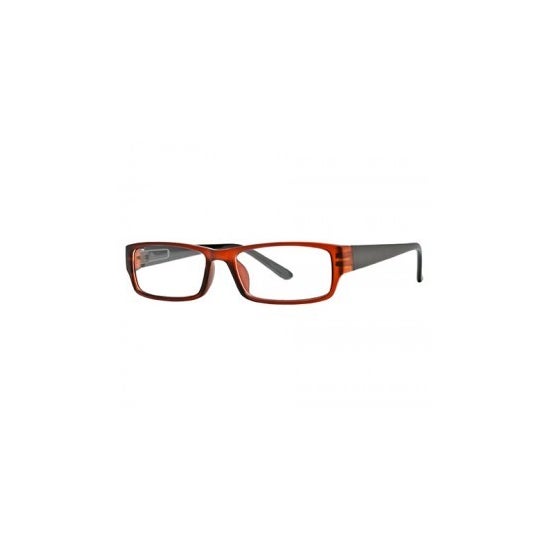 Nordic Vision modelo Sater color marrón y negro dioptrías +1,00 1 ud
