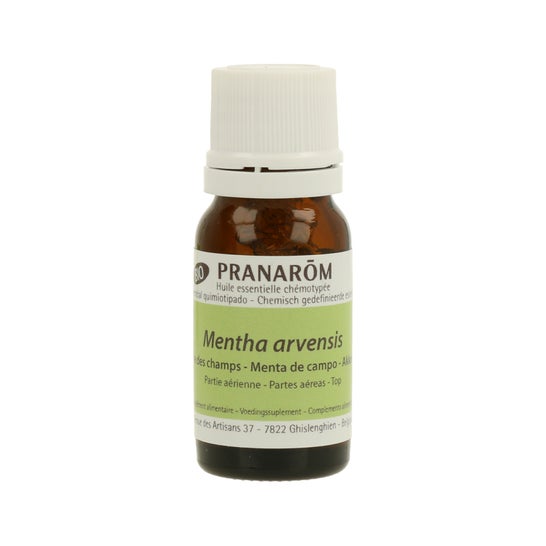 Pranarôm Aceite Esencial de Menta de Campo BIO 10ml