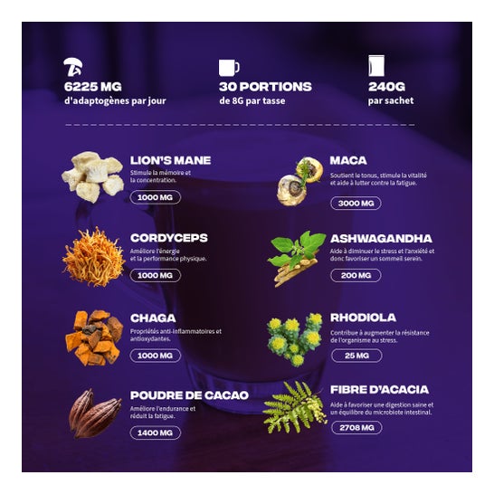 MushNGo Café Adaptógeno Brainstoorm Sabor Chocolate 240 g