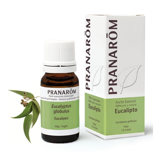 Pranarôm Aceite Esencial de Eucalipto 10ml Pranarôm Aceite Esencial de Eucalipto 10ml