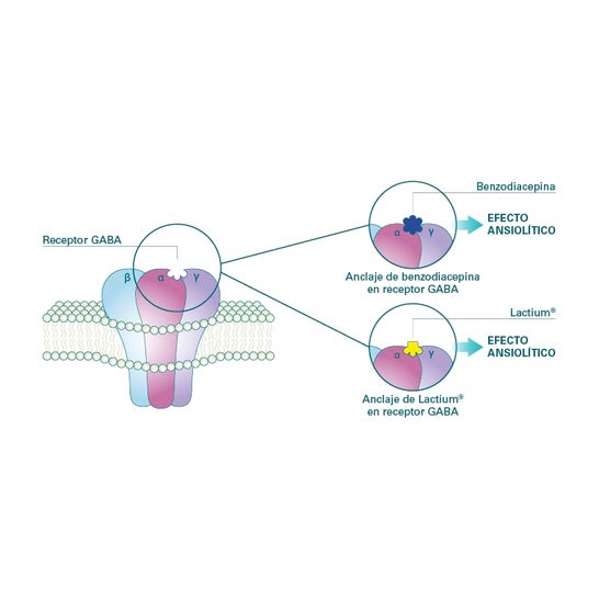 Epaplus Mentalcare Ansilium 30caps Epaplus Mentalcare Ansilium 30caps