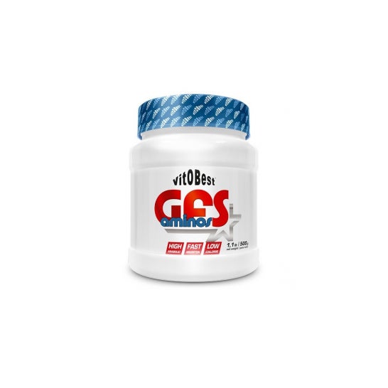 Vitobest Gfs Aminos Wild Melon 500g