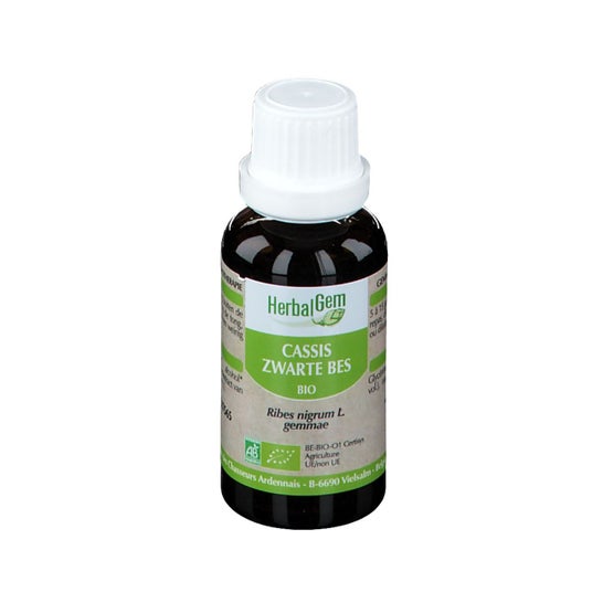 Herbalgem Concentrado de Grosella Negra Macerada BIO 30ml | PromoFarma