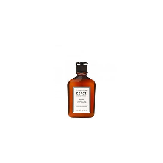 Depot Hair Cleasing 102 Anti Dandruff Seb Control Shampoo 250ml