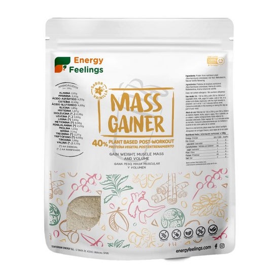 Energy Feelings Mass Gainer 1kg