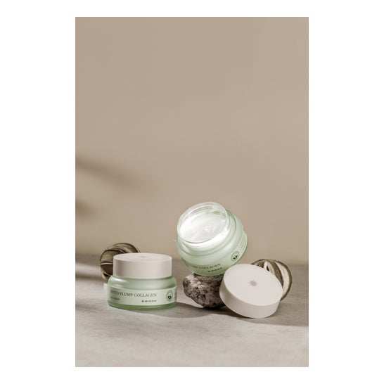 Mizon Phyto Plump Collagen Day Cream 50 ml