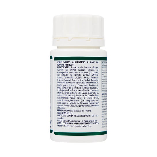 Equisalud Ayurveda Mental Ro 60 kapsler