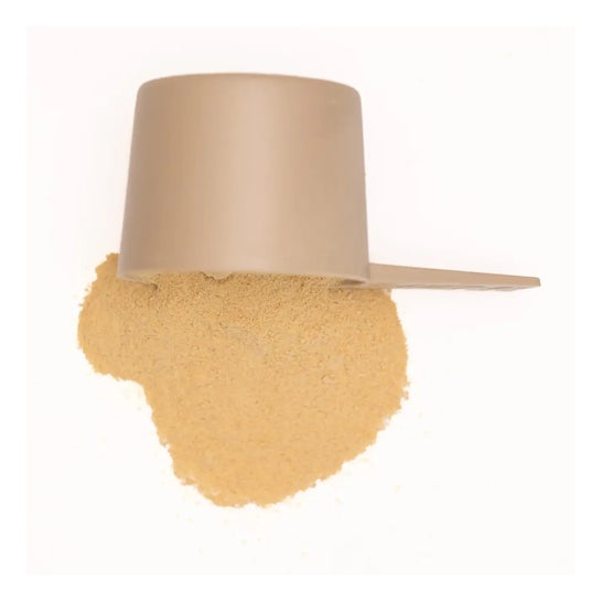 HSN Harina de Boniato 1000 g