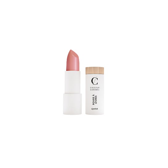 Couleur Caramel Lipstick Satin Refill N255 1ud