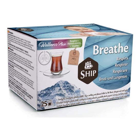 Schip Breathe Infusion 25 zakjes