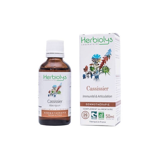 Herbiolys Bourg Cassissier Bio50Ml