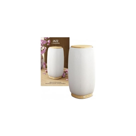 Pranarom Cer'Amica Jazz Diffusor und weißer Bambus