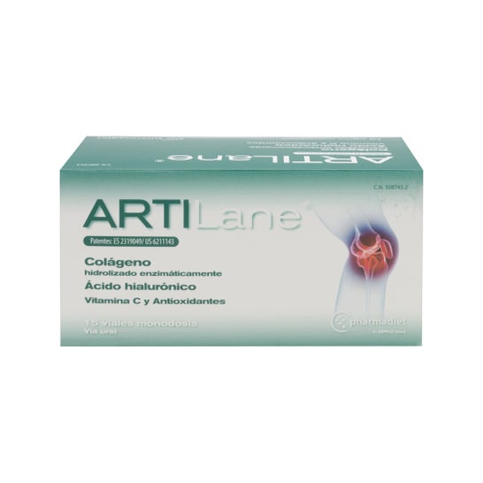15amplificatore Artilane
