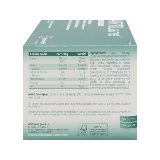 15amplificatore Artilane