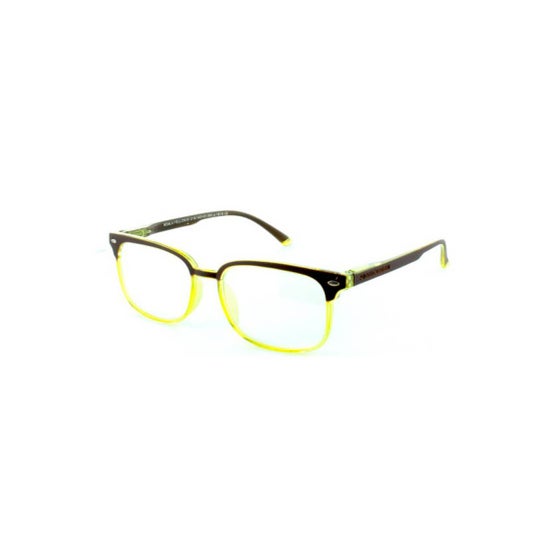 Protecfarma Protecvision Glasses Koala Yellow +2.50 1pc