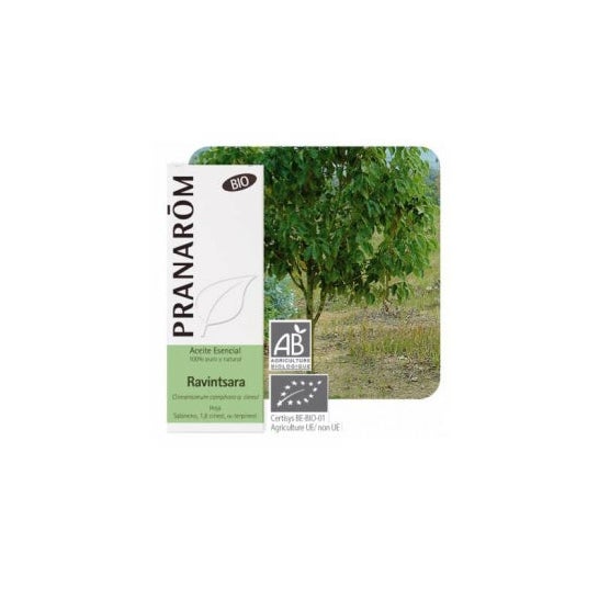 Ravensara Organic 10ml Essential Oil