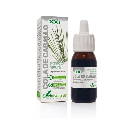 Extract Tail Horse Xxi Soria Natural