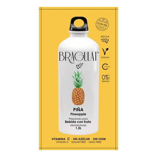 Bragulat Pineapple Soluble Drink 9gx15uds