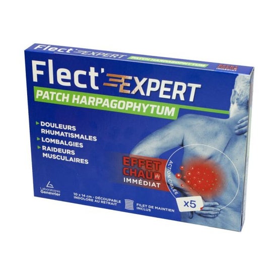 Flect Expert Kalt Warm Gaultherie Patch 5uts