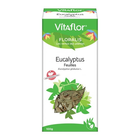 Vitaflor Eukalyptus-Feuchtwassersuppe 100G