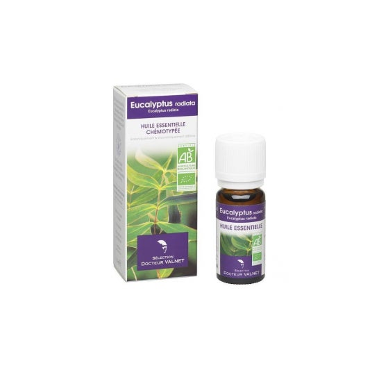 Comprar Aceite esencial de Eucalipto (Eucalyptus radiata) BIO