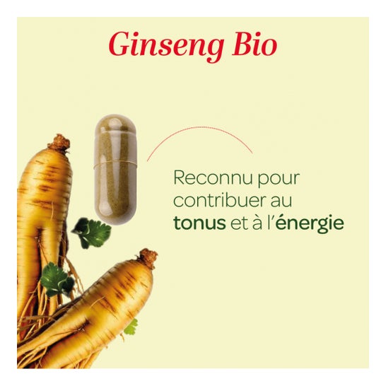 Superdiet Ginseng Bio 45 Perlas Superdiet Ginseng Bio 45 Perlas