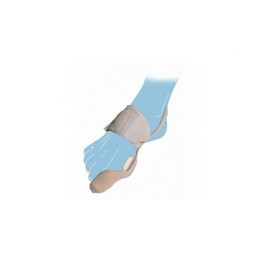 Day Bunion Protector P407 Tl