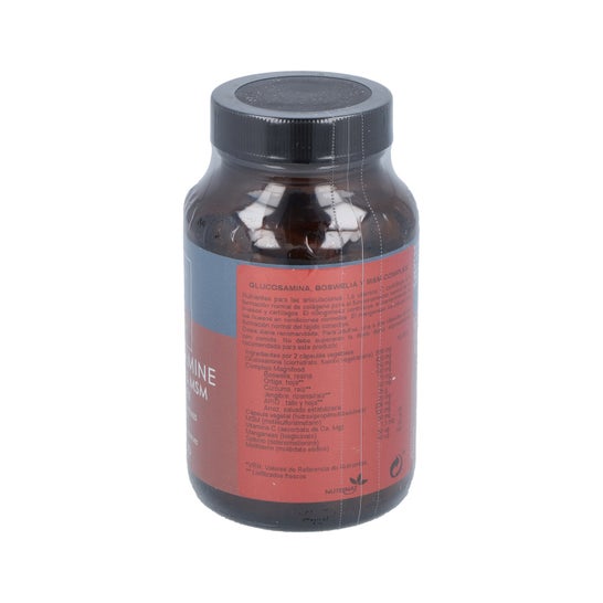 Terranova Glucosamina Boswelia Msm Complex 100caps