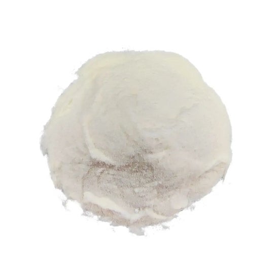 HSN Evocarbs 2.0 Limón 1000 g