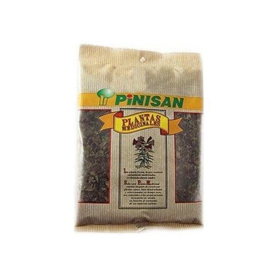Pinisan Arnica blomst 30g