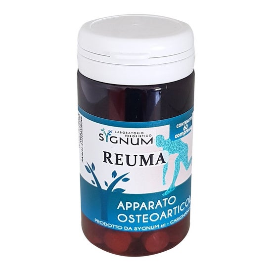 Sygnum Reuma 60comp