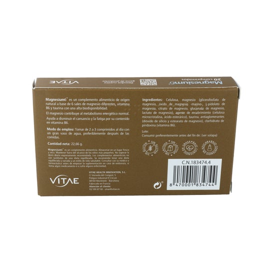 Vitae Magnesium6 20 comp