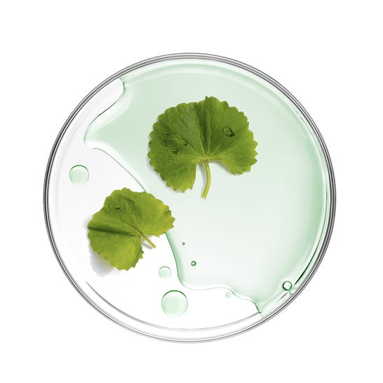 Mizon Cicaluronic Water Fit Mask 24 g