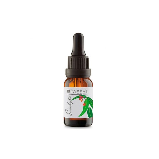 Quaste Ätherisches Öl Eukalyptus 30ml