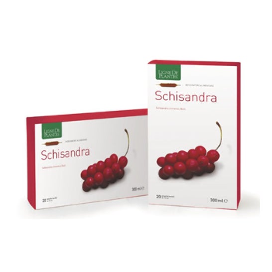 Ligne De Plantes Schisandra 20x15ml