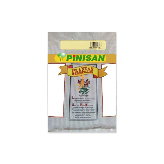 Pinisan Green Tea 50g