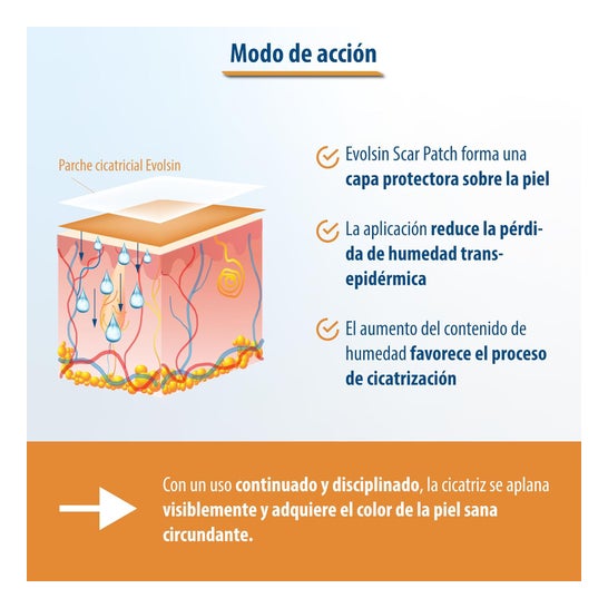 Evolsin Tiras Cicatrices 2m