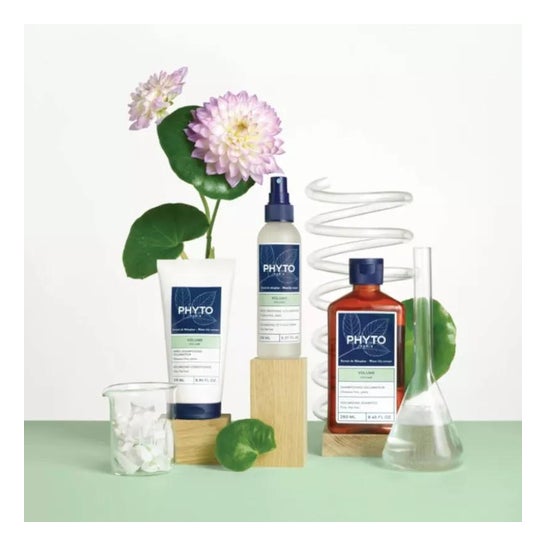 Phyto Volumen Spray Brushing Voluminizador 150ml Phyto Volumen Spray Brushing Voluminizador 150ml