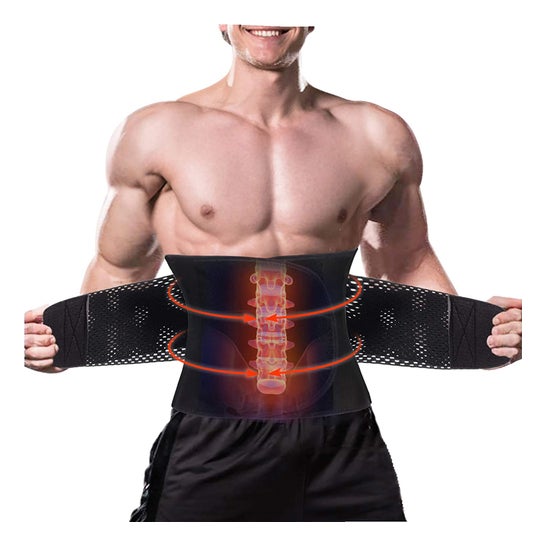 C/Libeoz Lomb Dbl Serrage H26Cm T3