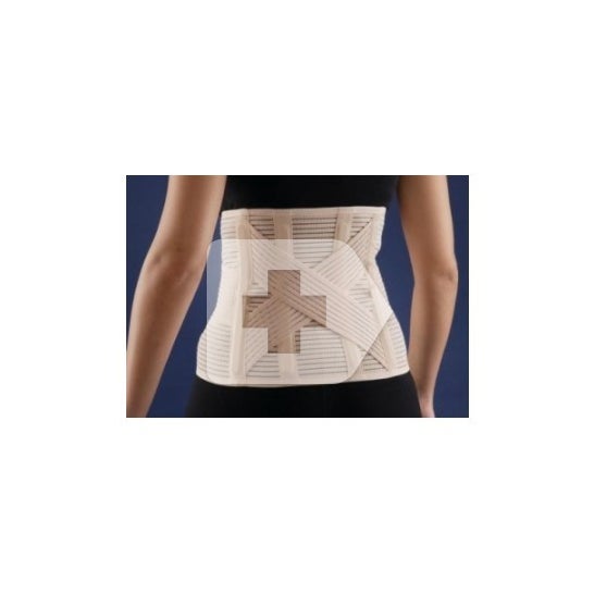 Intex Fortiflex sacrolumbar girdle T-M