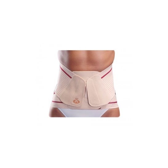 Orliman Faja Ev-200 M/4