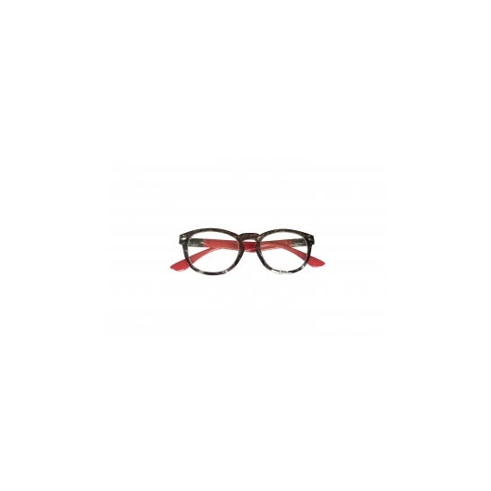 Vari+San Gafas Lectura Viena 2dioptrías