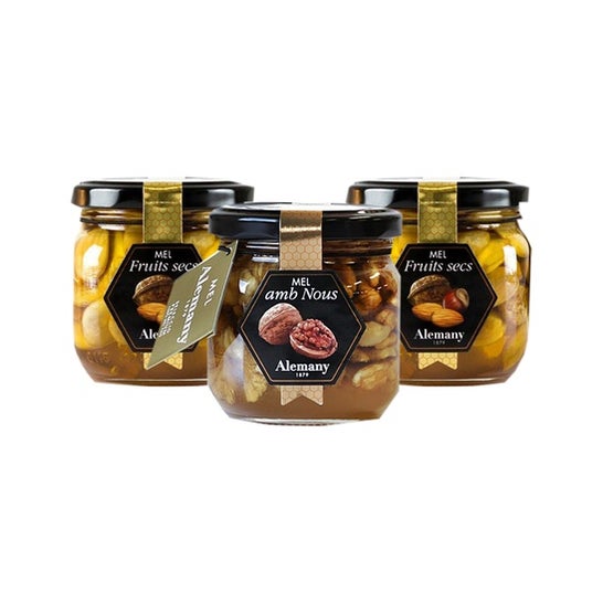 Alemany Pack Honey With Dried Fruits