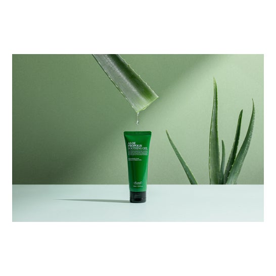 Benton Aloe Propolis Soothing Gel 100ml