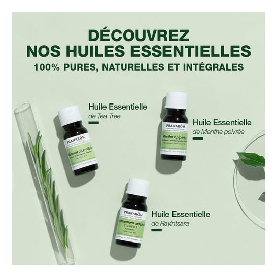 Pranarôm Aceite Esencial de Árbol de Té 10ml Pranarôm Aceite Esencial de Árbol de Té 10ml