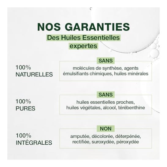 Pranarôm Aceite Esencial de Árbol de Té 10ml Pranarôm Aceite Esencial de Árbol de Té 10ml