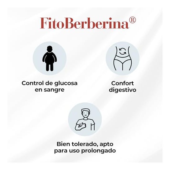 100% Natural FitoBerberina 30caps 100% Natural FitoBerberina 30caps